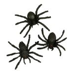 CCH Embellishment - Spinne schwarz