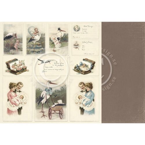 PIO Cardstock - Sweet Baby Images