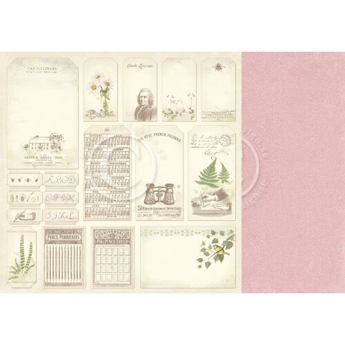 PIO Cardstock - Linnaeus Botanical Journal Tags