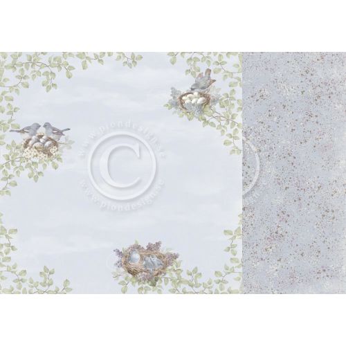 PIO Cardstock - New Beginnings Nesting Birds