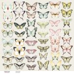 FDC Cut-Out Sheet 12"x12" - Butterflies